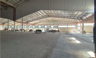 Vía Daule se alquila bodegas 4437 m² ideal para farmaceuticas