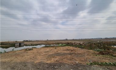 TERRENO COMERCIAL VIAL 1 – VA A SALITRE, DAULE 14749 m²