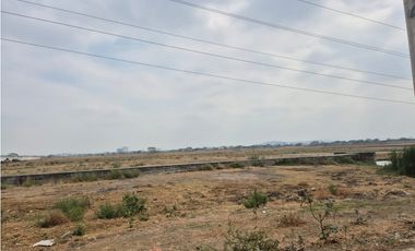 TERRENO COMERCIAL VIAL 1 – VA A SALITRE, DAULE 14749 m²