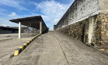VIA DAULE KM 10, MAPASINGUE, PIE DE VIA TERRENO 34700 m2