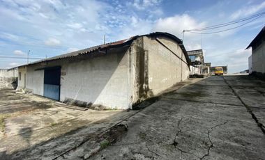 VIA DAULE KM 10, MAPASINGUE, PIE DE VIA TERRENO 34700 m2