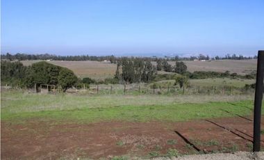 Descubre Encantadoras Parcelas en Santa Adela