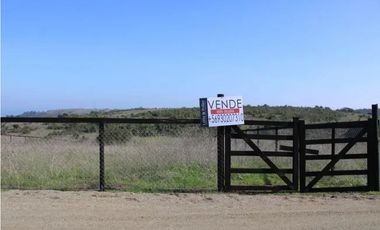 Descubre Encantadoras Parcelas en Santa Adela