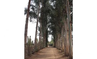 Amplio Terreno de 5.000 m2 en Condominio Privado