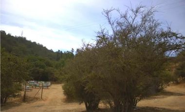 ¡Vive la Serenidad de la Naturaleza en Lomas del Sol, Quilpué!