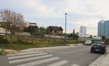 Amplio y exclusivo terreno en bosque de montemar ( San Daniel )