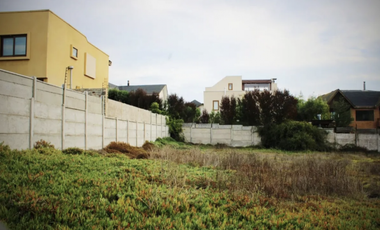 Amplio y exclusivo terreno en bosque de montemar ( San Daniel )