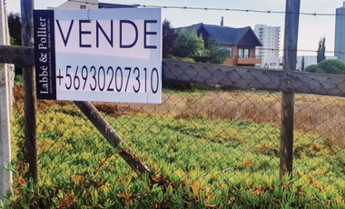 Amplio y exclusivo terreno en bosque de montemar ( San Daniel )