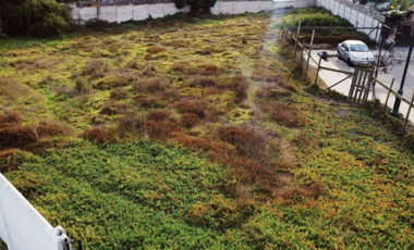 Amplio y exclusivo terreno en bosque de montemar ( San Daniel )