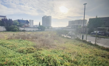 Amplio y exclusivo terreno en bosque de montemar ( San Daniel )