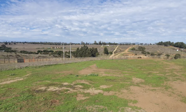 Gran Terreno de 5.000 mts, En Sector de Santa Adela, Campus de mar
