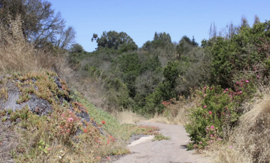 Haz de esta parcela tu refugio familiar en Campomar 1