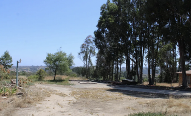 Haz de esta parcela tu refugio familiar en Campomar 1