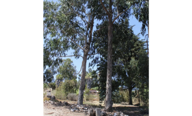 Haz de esta parcela tu refugio familiar en Campomar 1