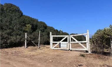 Amplia casa en La Mestiza , Catapilco