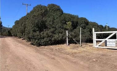 Amplia casa en La Mestiza , Catapilco