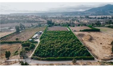Espectacular Parcela a 15 Minutos de Concón