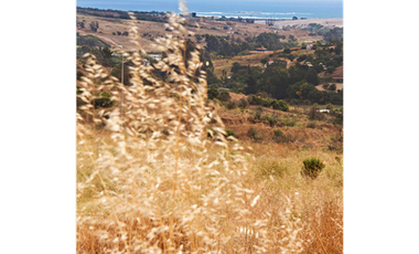 Terrenos Exclusivos en Condominio de Alto Estándar