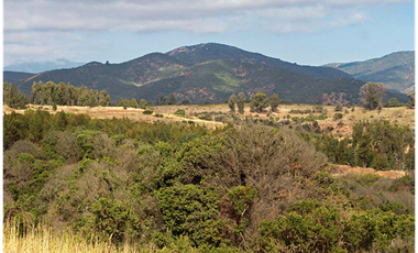 Terrenos Exclusivos en Condominio de Alto Estándar