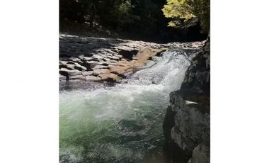 Reserva Ecológica en el Sur de Chile
