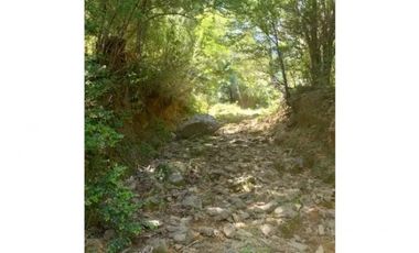 Reserva Ecológica en el Sur de Chile