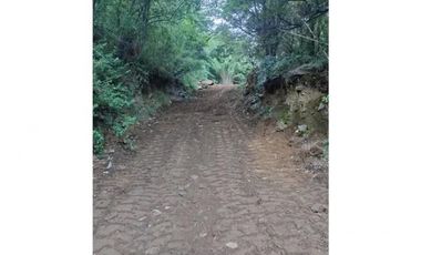 Reserva Ecológica en el Sur de Chile