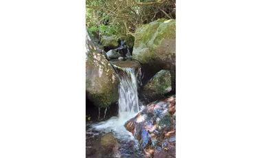 Reserva Ecológica en el Sur de Chile