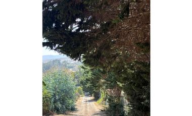 Atencion Inversionistas - Maitencillo