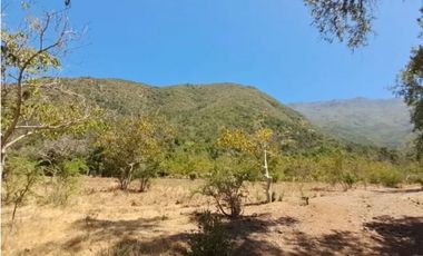 VENTA DE TERRENO EN COLLIGUAY – 122 HS CON AGUA