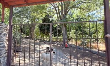 VENTA DE TERRENO EN COLLIGUAY – 122 HS CON AGUA