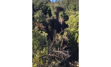 VENTA DE TERRENO EN COLLIGUAY – 122 HS CON AGUA