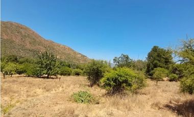 VENTA DE TERRENO EN COLLIGUAY – 122 HS CON AGUA