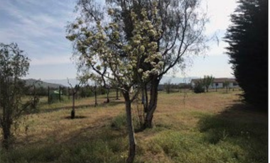 Venta parcela de 5.000 m2 con cabaña en Polpaico