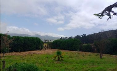 CASA EN ARRIENDO – AMPLIOS ESPACIOS Y NATURALEZA CERCA DE CONCÓN