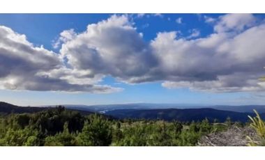 ¡A tan solo 40 km de Valdivia, descubre tu refugio natural!