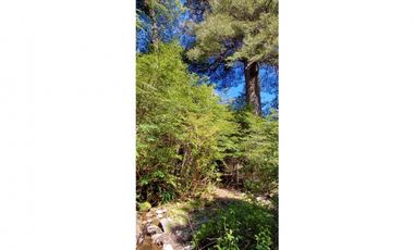 Venta en verde condominio con Reserva Ecologica en el Sur de Chile