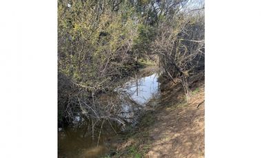 Acogedora Casa en la Mestiza , Catapilco