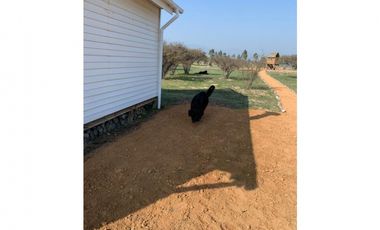 Acogedora Casa en la Mestiza , Catapilco