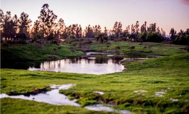18 Hectáreas de Encanto en Codigua, Melipilla