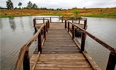18 Hectáreas de Encanto en Codigua, Melipilla