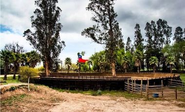 18 Hectáreas de Encanto en Codigua, Melipilla