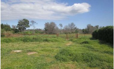 Parcela de 5.000 m² en venta a solo 15 minutos de Concón