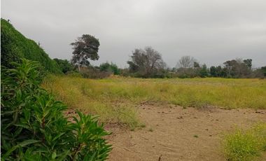 Parcela de 5.000 m² en venta a solo 15 minutos de Concón