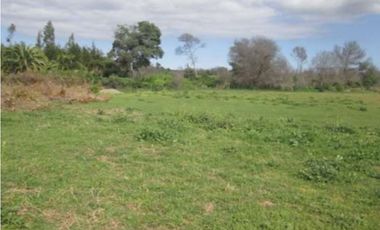 Parcela de 5.000 m² en venta a solo 15 minutos de Concón