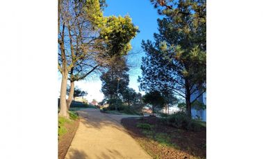 ESPECTACULAR DEPARTAMENTO CON VISTA AL MAR EN CONCÓN