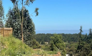 Venta de Terreno con Vista al Humedal