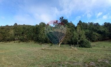 MAGNÍFICA CASA EN PARCELA 5.000 M2 PUERTO OCTAY