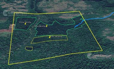 SE VENDE 60HA DE COLONIA ROCA  CON PINO