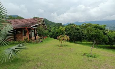 VENTA de FINCAS en LA MESA