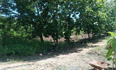 VENTA TERRENO LOTIZAC. PRIVADA VIA COSTA (AGE)